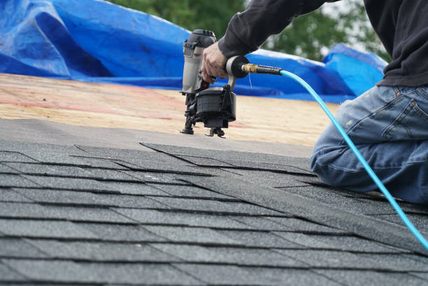 Best Storm Damage Roof Repair  in Two Harbors, MN